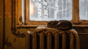 Почему котёл не греет в Иваново: 7 основных причин и решения