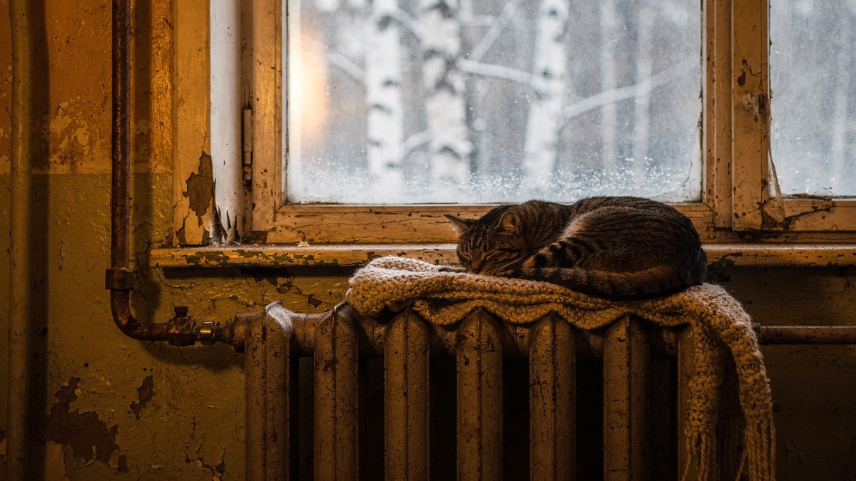 котёл не греет Иваново